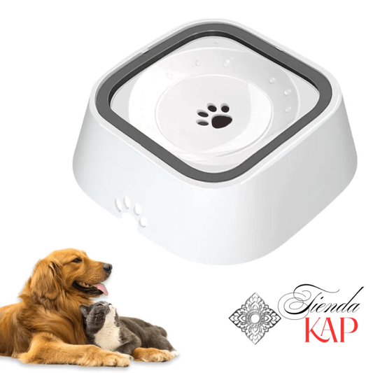 Plato Anti Salpicaduras